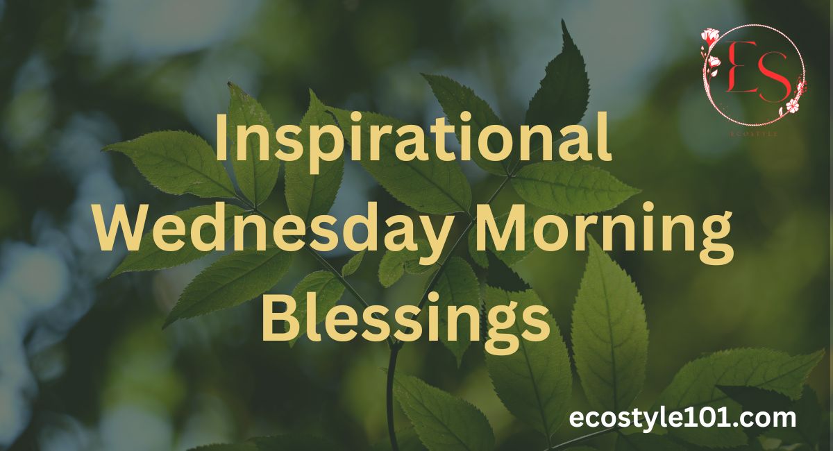 80+ Beautiful Good Morning Wednesday Blessings