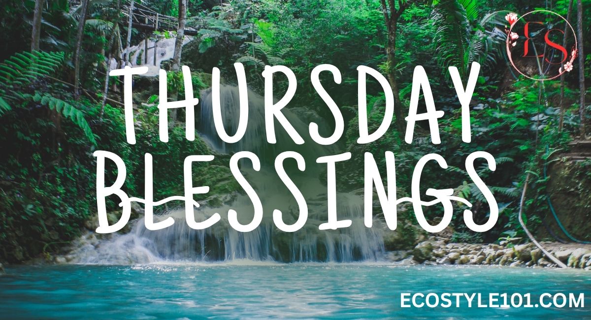 Thursday Blessings